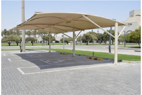 Car Parking Shades