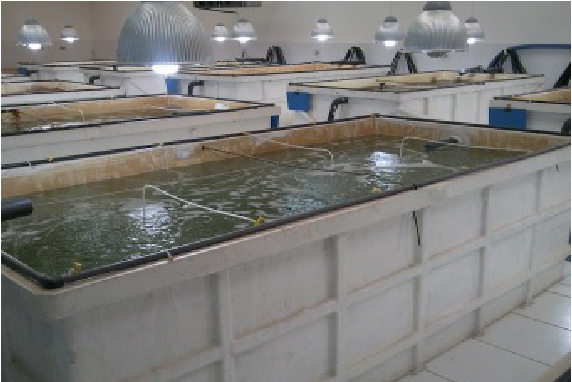 GRP Fish Tanks